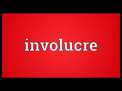 Header of involucre