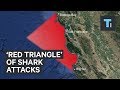 The 'Red Triangle' off the California coast is known for great white shark attacks