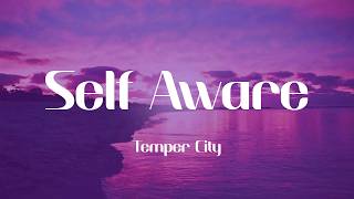 Temper City - Self Aware (Lyrics)