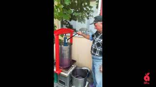 Wine making in Romania - Hydraulic fruit press GP-50s - grape juice pressing