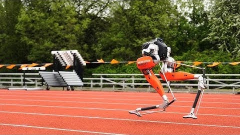 Cassie Set A Guinness World Record For 100M In 24.73s
