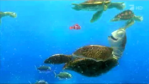Quais são os tipos de nadadeiras dos peixes?