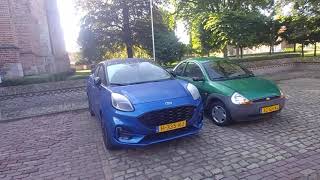 Relaxing Dog Walk Through Aardenburg Island Of Netherlands. Patterdale Estacado Fell Terriers