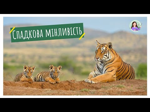 Спадкова мінливість