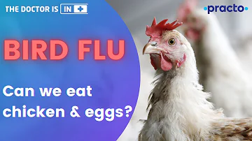 Can we eat boiled eggs in flu?