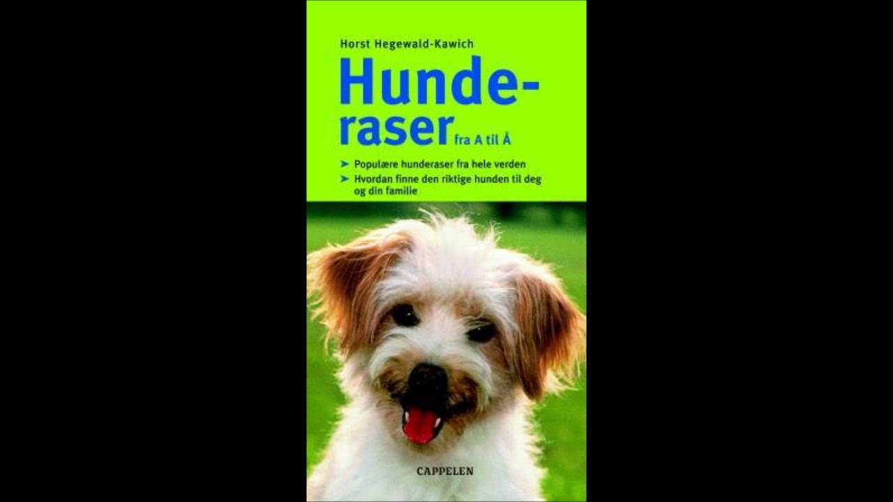 Hunderaser fra A til Å - Horst Hegewald-Kawich - YouTube