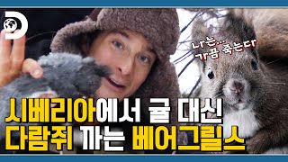 오! 도토리가 있네요 다람쥐를 죽여야겠어요,🐿 베어그릴스의 다람쥐 먹방 [Man vs Wild]