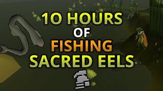 Loot From 10 Hours Of Fishing Sacred Eels