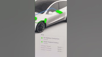 Check on your 12v low voltage #tesla battery status and soc in service mode