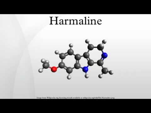 Video: Harmala Ordinaria