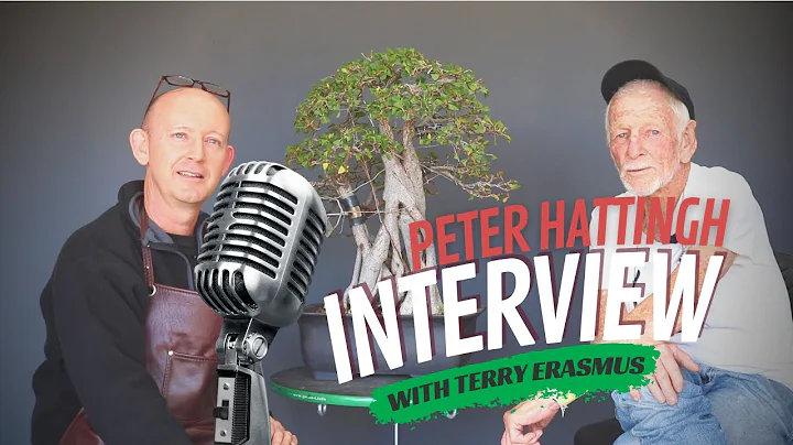 Interview with Peter Hattingh