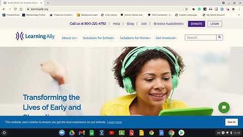 Learning Ally 2021 Tutorial