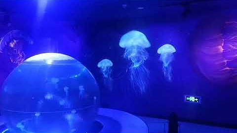 Floating effect gobo projector