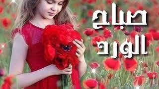 صباحيات || صباح الورد || صباح الخير || أجمل حالات واتس || موسيقي رائعة