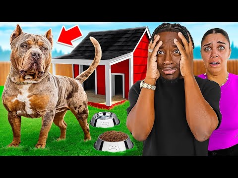 MEET OUR NEW DOG **INSTANT REGRET**