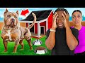 MEET OUR NEW DOG **INSTANT REGRET**