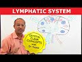 Introduction to Lymphatic System - Lymph Nodes