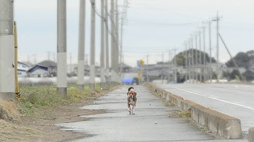 映画「石岡タロー」ティーザー映像