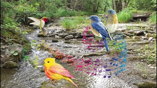 Sounds of Nature - Soothing sound of a waterfall and singing birds. Relaxing sounds of river.