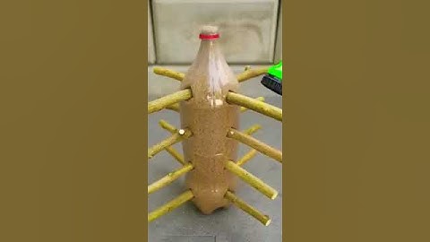 Great Technique Propagate Lemon Tree From Cuttings with Coca Cola bottle #shorts - #green #youtube