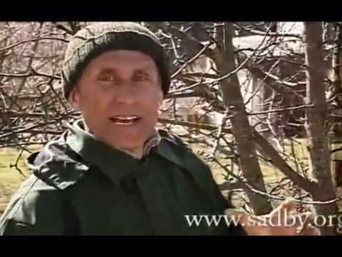 Обрезка плодовых деревьев. Полный курс Николая Рабушко в одном видео. Издание первое. ©