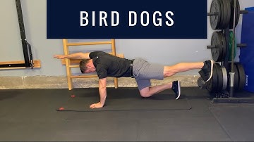 Home Exercises - Bird Dogs (AKA Quadruped Cross Crawl) Progression