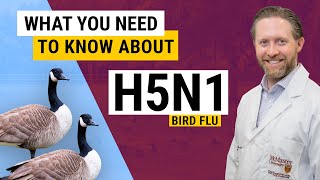 H5N1 Explained: What you need to know about avian flu