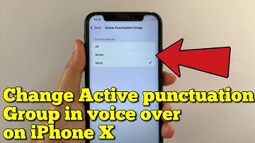 How to change active punctuation group in voice over on iPhone X