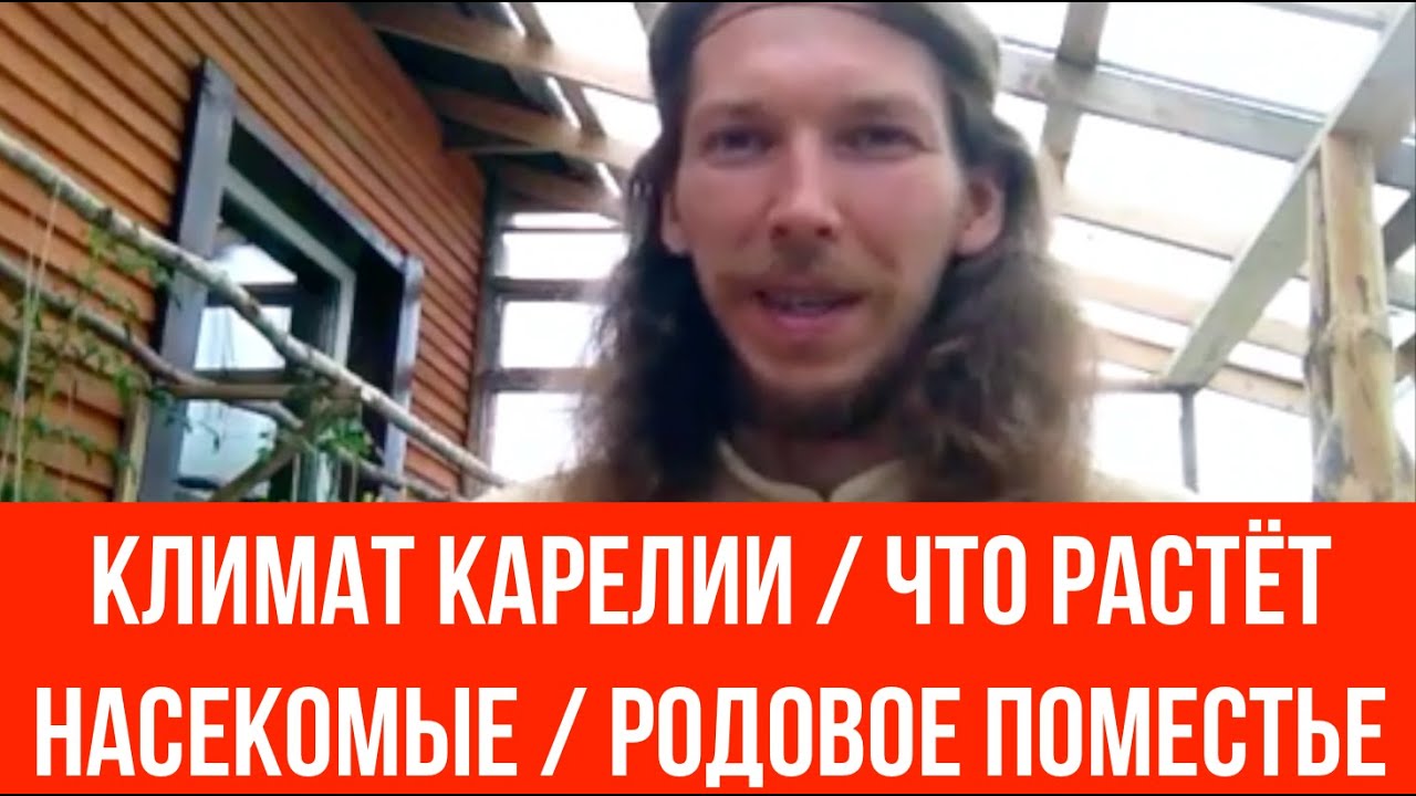 Климат Карелии Что растёт Насекомые Родовое поместье - YouTube