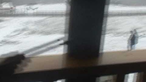 Saving Private Brian Chapter II