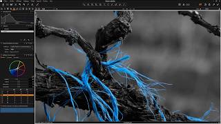 Capture One 11 - Éditeur De Couleurs