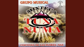 Video thumbnail of "Tuxa Numa - Panito Nitaxun Nda'a Yu"