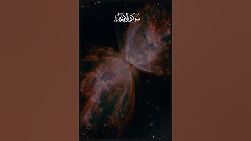 ( ولقد جئتمونا فرادى كما خلقناكم أول مرة )  القارئ ياسر الدوسري ❤️❤️