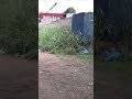 Mulher com cortes na garganta e nos pulsos é encontrada embaixo de viaduto #shorts