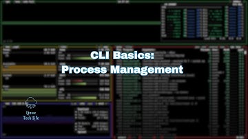 CLI:Basics Process Management – PS, Kill, Top, and HTOP
