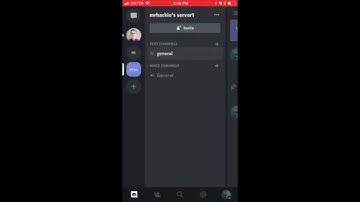 How to SEE PINNED MESSAGES on DISCORD?