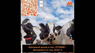 Объявления о недвижимости   готовый бизнес деревня Пихтовка Пермский край