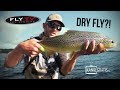 FLY TV - Dry Fly Sea Trout Fishing in Denmark