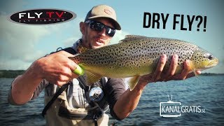FLY TV  Dry Fly Sea Trout Fishing in Denmark