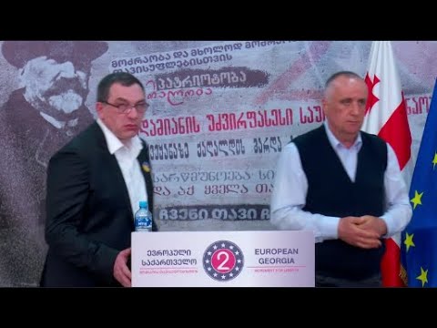 „საპროტესტო ენერგიას, რომელიც  რუსთაველზე ვნახეთ,  პოლიტიკურ ენერგიად გარდაქმნა სჭირდება“