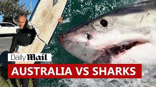 Sydney’s shark attack fight: The bloody truth | Daily Mail