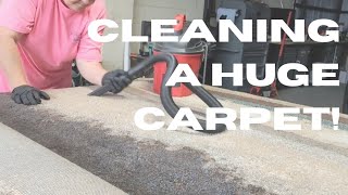 Area Rug Cleaning Episode 3 | Extra large carpet