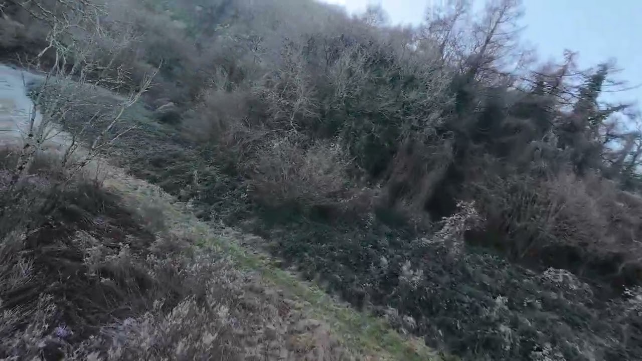 I love taking my dog for walks, we end up in the middle of nowhere...not lost, happy! 