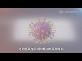 武漢肺炎病毒怎麼感染人類細胞 中國研究有新發現