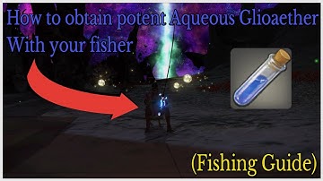 How to catch stargilt lobsters For potent aqueous glioaether