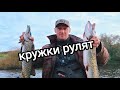 КРУЖКИ РУЛЯТ! Они сделали эту рыбалку!