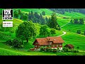The Ultimate 12K HDR™ Dolby Vision 240fps (8K/4K Video TV Test)