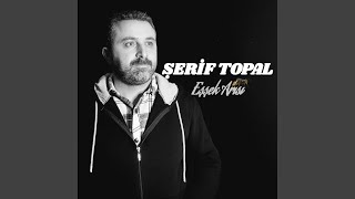 Şerif Topal Eşşek Arısı