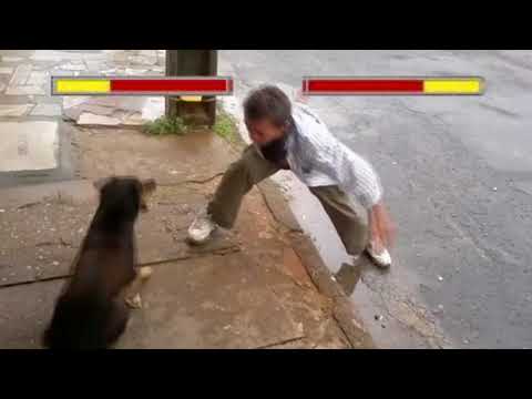 Cachorro Vs Bebado Ao som de Mortal Kombat