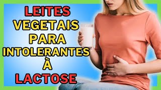 Intolerância à Lactose? Sem Pânico! Descubra os 5 Leites Vegetais que Salvam o Dia!